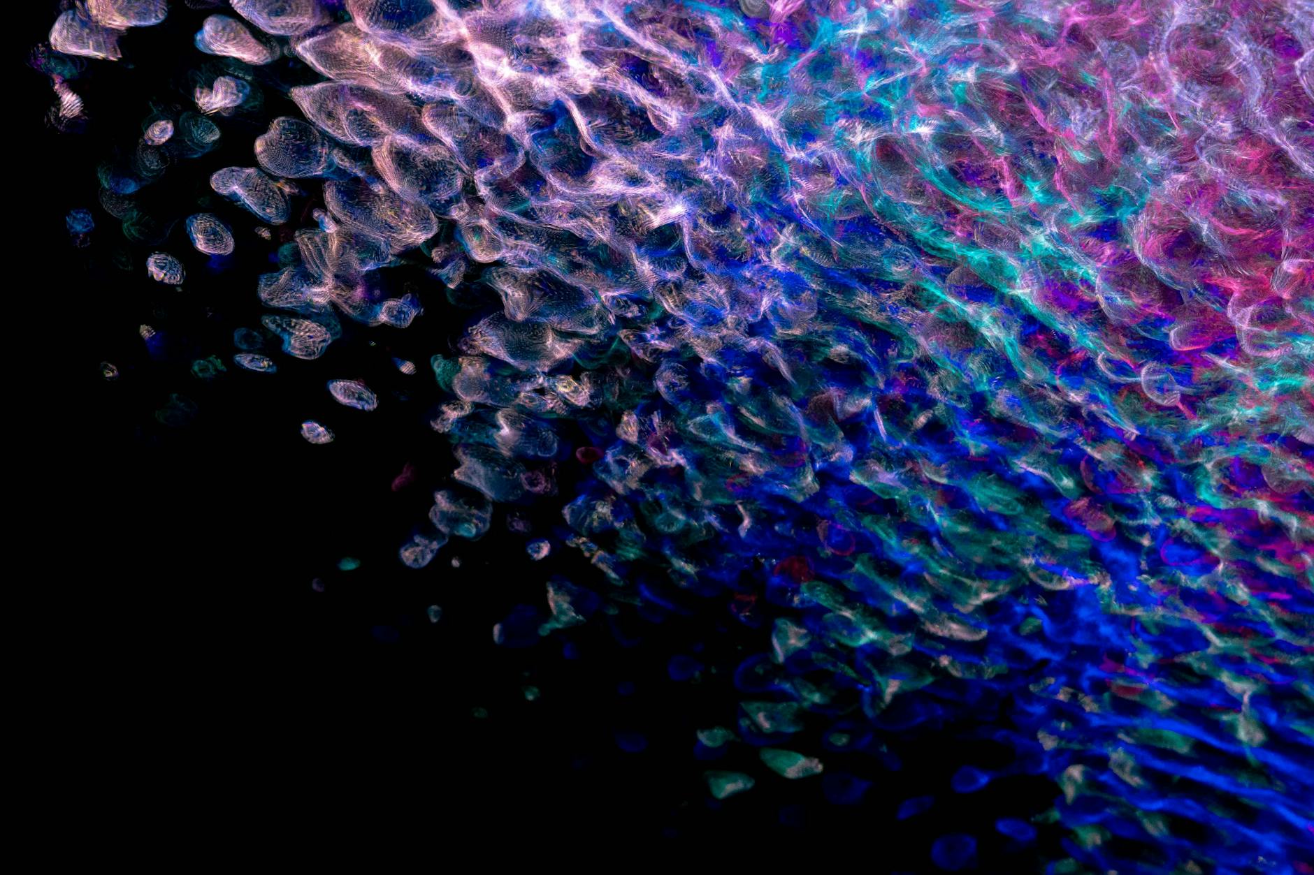 Biometrinen tunnistautuminen