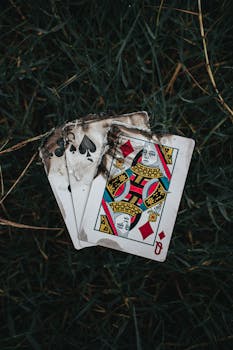 Jokeri Pokeri Poxnora - Pelit Ja Strategiat Suomalaisessa Online-uhkapelaamisessa