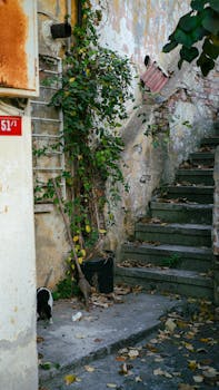 Freedom Rahoitus Lainojen Yhdistäminen: Vinkit Ja Kokemukset