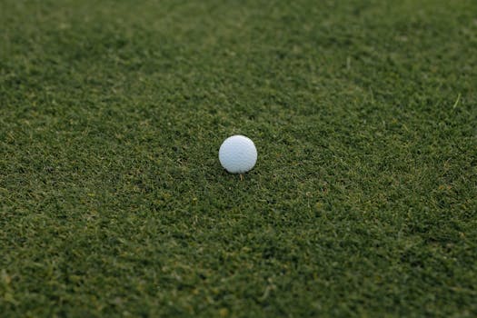 Op Joustoluotto Lyhennysvapaa: Tietoa, Ehdot Ja Vaikutukset