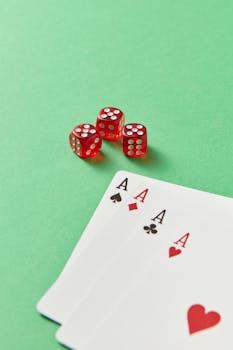 Valtion Takaus Opintolainalle: Opi, Kuinka Se Mahdollistaa Opiskelijan Talouden Tukemisen
