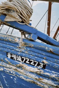 Ray Ilmaiset Kolikkopelit: Näin Voit Kokeilla Ja Nauttia Kasinopeleistä Ilmaiseksi