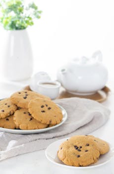 Asp Remonttilaina: Oppilas Ja Vinkit Rakennus- Tai Remonttitöihin