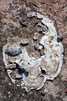 Auton Rahoitus Danske Bank: Opas Yrityksen Ja Yksityisasiakkaan Rahoitusratkaisuihin