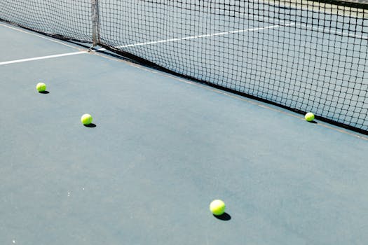 Takuusäätiön Takaus: Takausjärjestelyt, Ehdot Ja Hakuprosessi