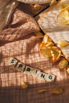 Vanhanaikainen Pasianssi: Historia, Peli Ja Käyttöliittymä