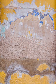 Takuusäätiön Takaus: Takausjärjestelyt, Ehdot Ja Hakuprosessi