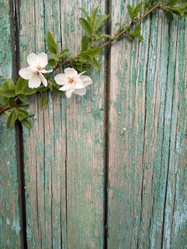 Ilmaista Pokeria: Harjoittelua Ja Pelaamisen Iloa