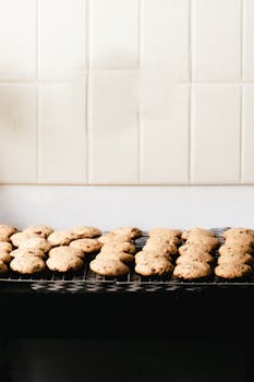 Koroton Pikavippi: Oppaat, Ehdot Ja Vertailut