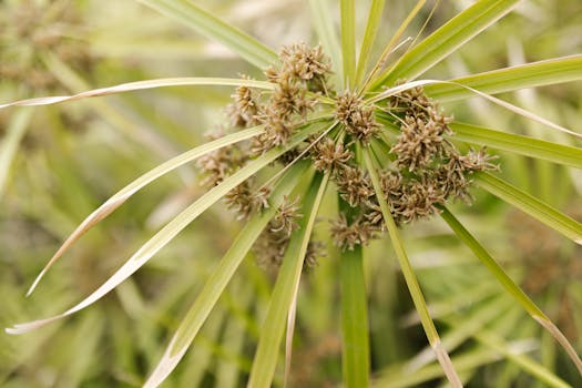 Pelaa Com Bonuskoodi: Vinkit Ja Parhaat Tarjoukset Suomalaisilla Kasinoilla