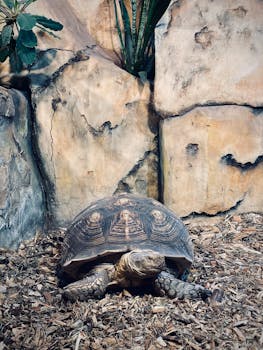 Ensi Asunto Laina: Täydellinen Opas Asumislainan Hakemiseen Ja Hallintaan